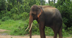 Birsa Zoological Park